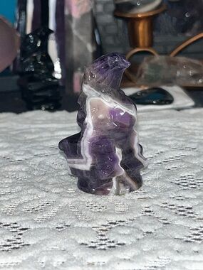 Chevron amethyst raven on skull and books